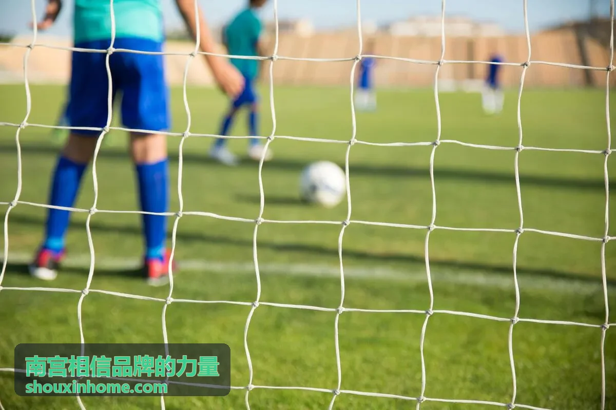 南宫相信品牌的力量——母品牌与子品牌架构关系梳理会议